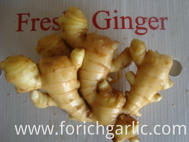 Fresh Ginger